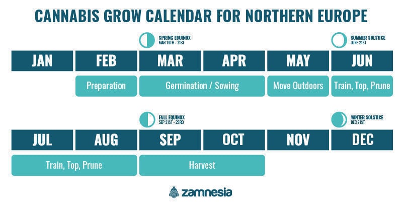 Cannabis Grow Calendar For Europe - Zamnesia